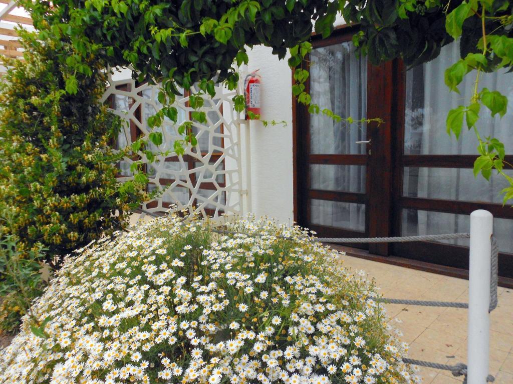 Aytas Hotel Ayvalik Exterior foto